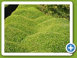 bedrijfsgroen_106